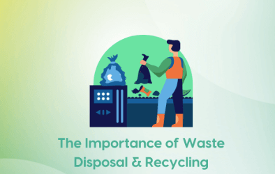 The Importance of Waste Disposal & Recycling