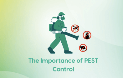 The Benefits of Pest Control Services