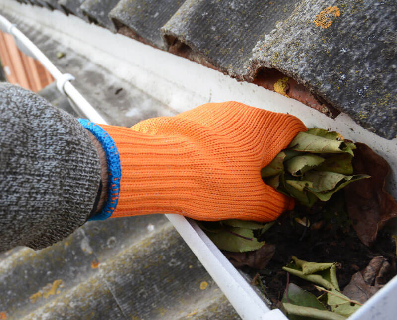 Why-use-Serna-for-gutter-cleaning