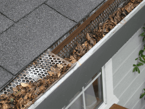 How To Clean Gutters: A Step-By-Step Guide