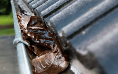 How Much Does Gutter Cleaning Cost?