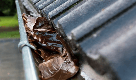 How Much Does Gutter Cleaning Cost?